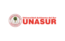 Universidad Unasur